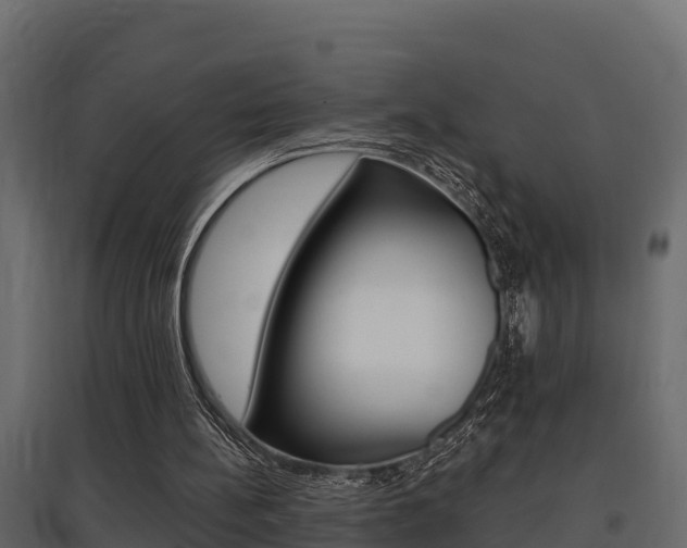 X0000097770148200803070909