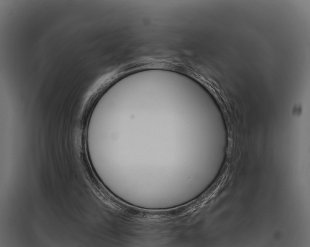 X0000097770149200803070909