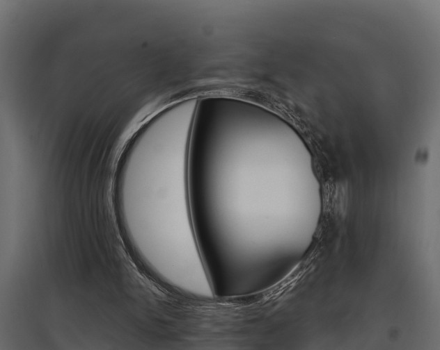 X0000097770150200803070909