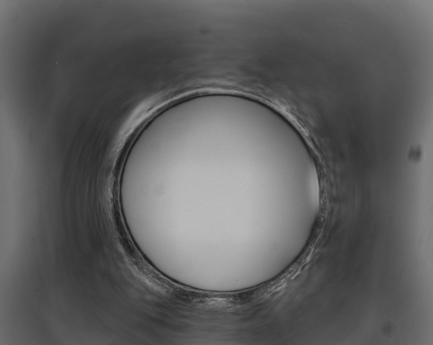 X0000097770151200803070909