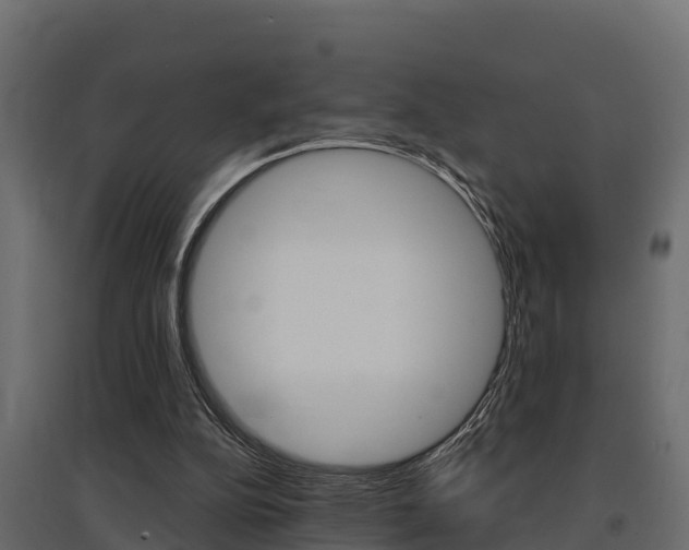 X0000097770152200803070909