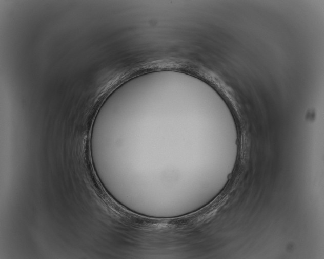 X0000097770153200803070909