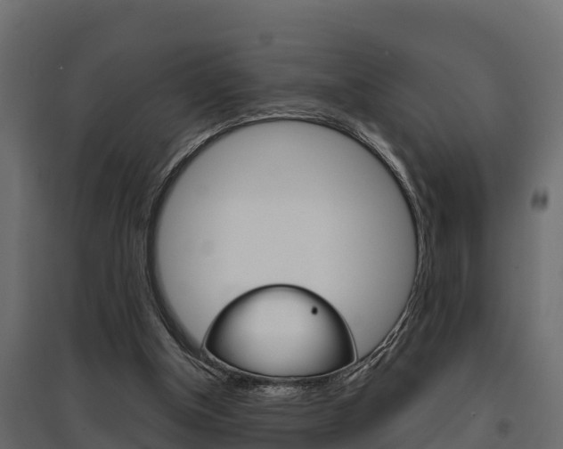 X0000097770154200803070909