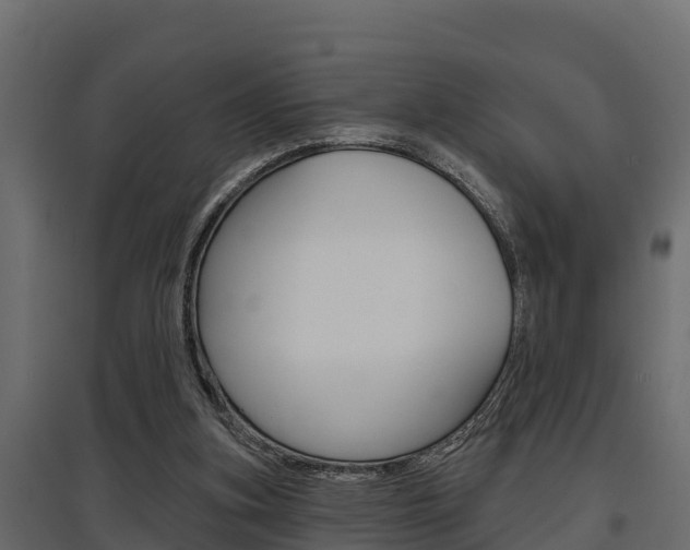 X0000097770155200803070909