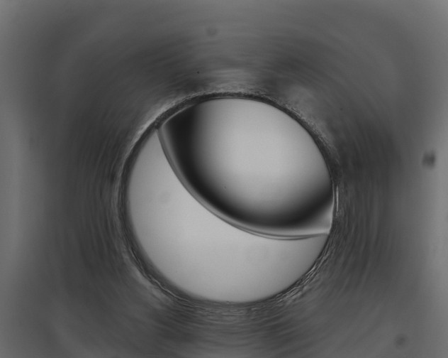 X0000097770156200803070909