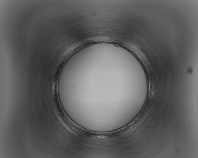 X0000097770157200803070909