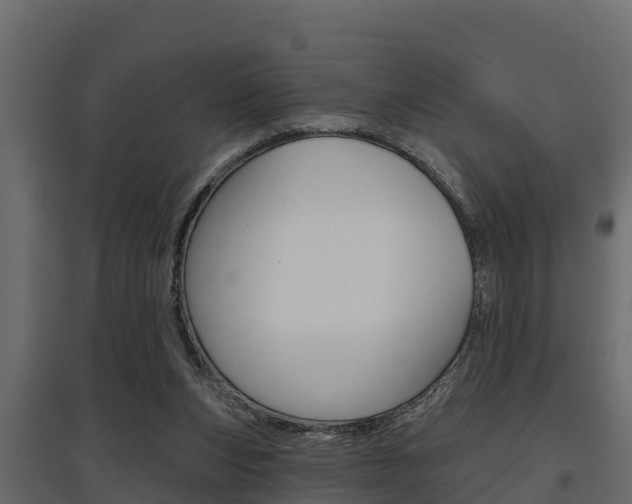 X0000097770159200803070909