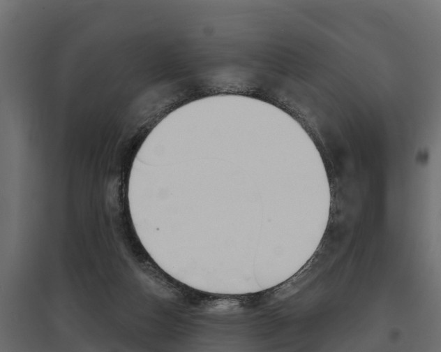 X0000097770162200803070909