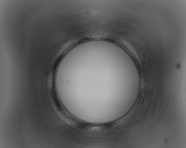 X0000097770163200803070909