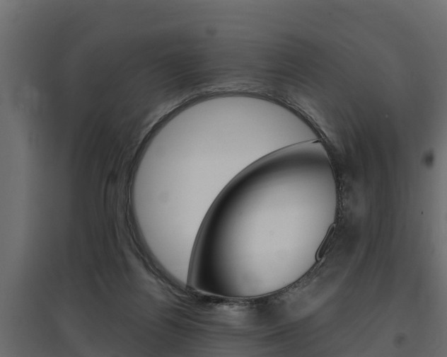 X0000097770164200803070909