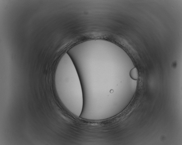 X0000097770165200803070909