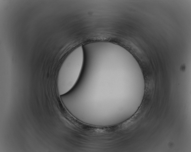X0000097770166200803070909