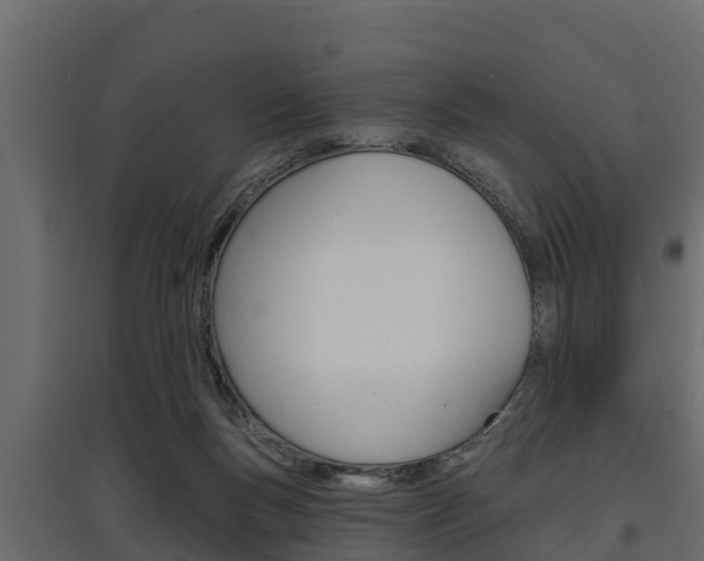 X0000097770167200803070909