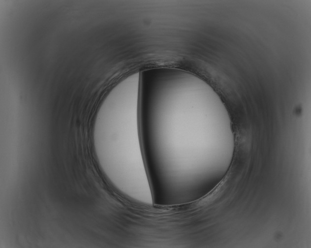 X0000097770170200803070909