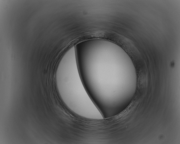 X0000097770172200803070909