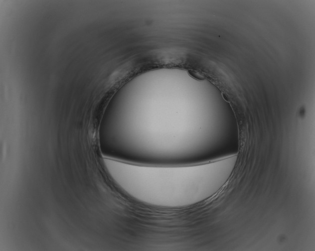 X0000097770176200803070909