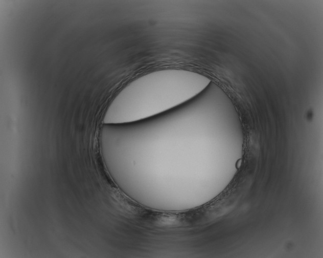 X0000097770177200803070909