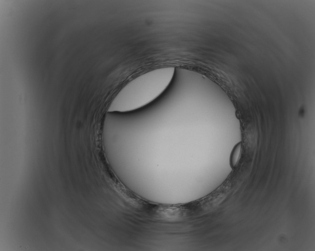 X0000097770181200803070909