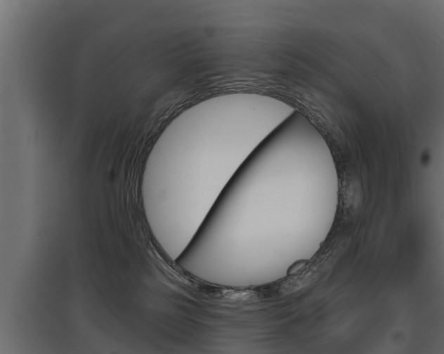 X0000097770185200803070909