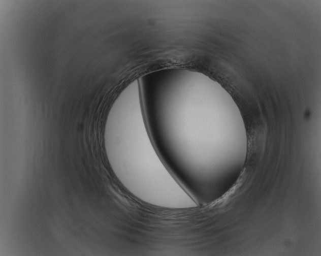 X0000097770186200803070909