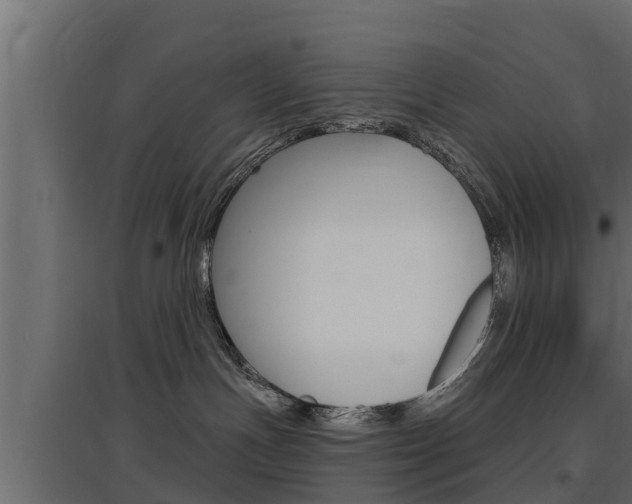 X0000097770191200803070909
