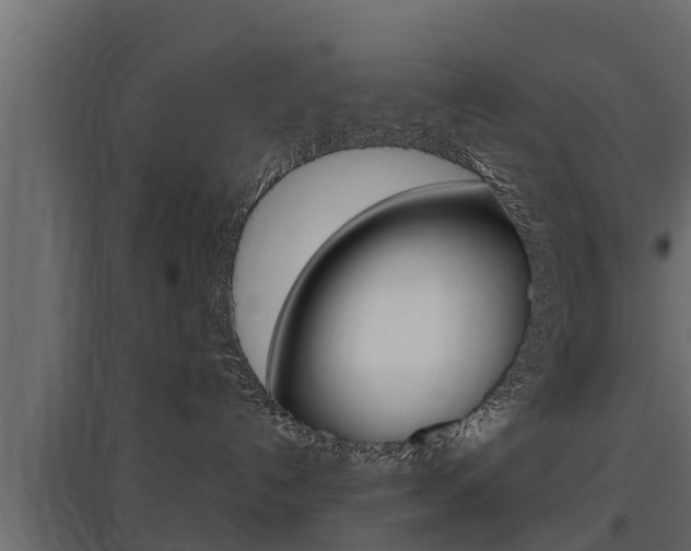X0000097770192200803070909
