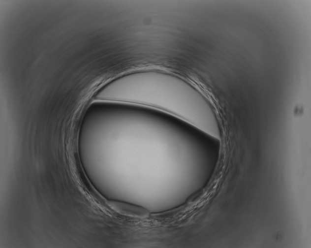 X0000097770193200803070909