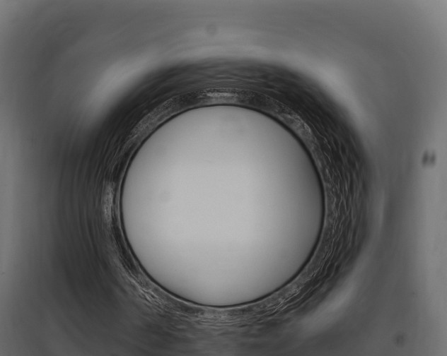 X0000097770194200803070909
