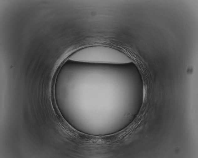 X0000097770195200803070909