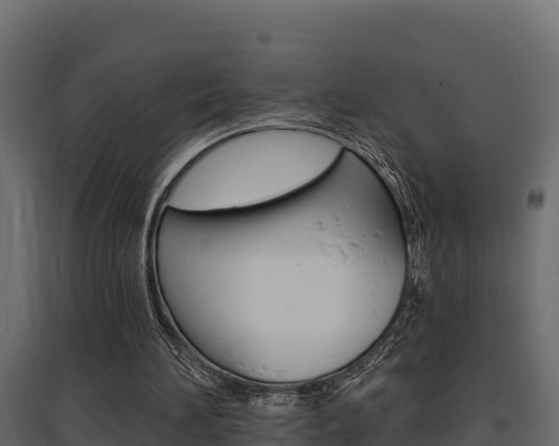 X0000097770196200803070909