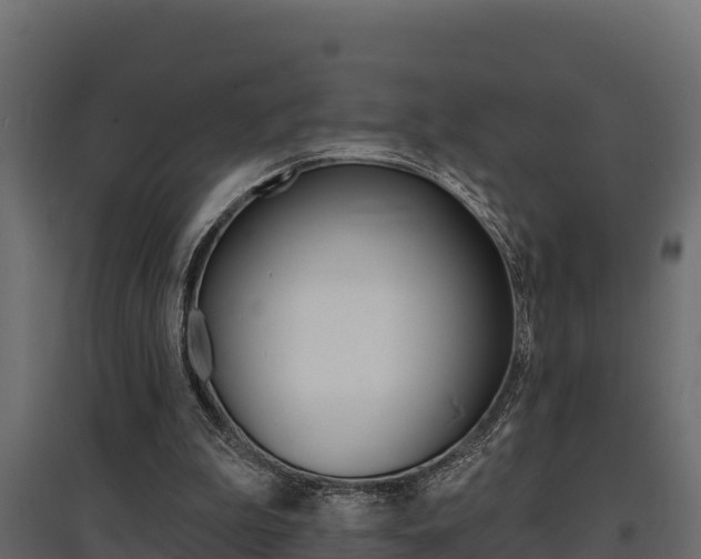 X0000097770199200803070909