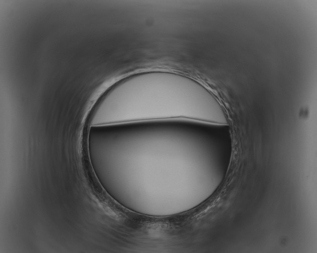 X0000097770200200803070909