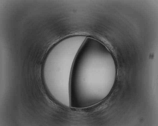 X0000097770201200803070909