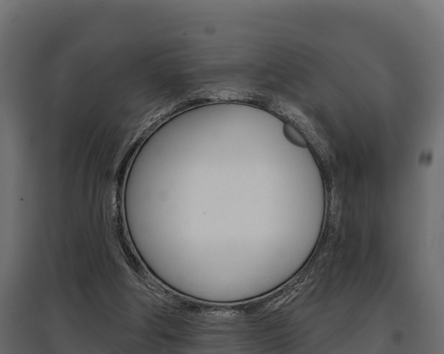 X0000097770202200803070909