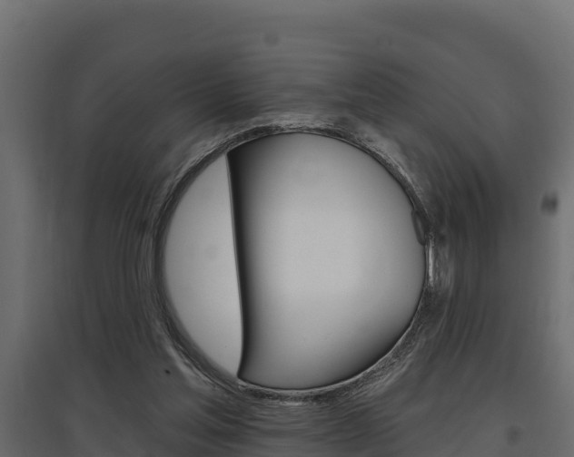 X0000097770205200803070908