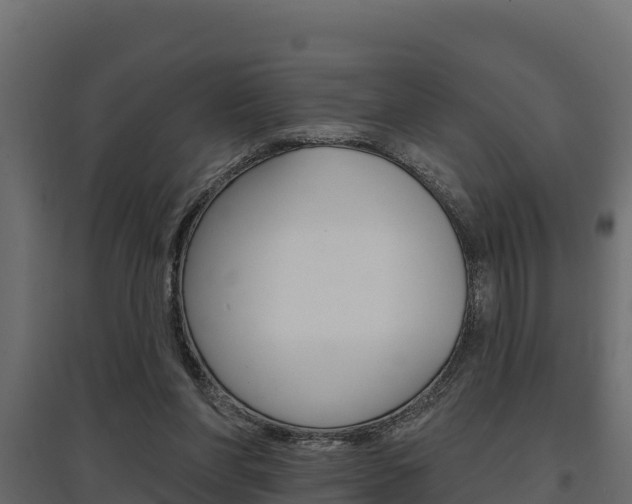 X0000097770206200803070908
