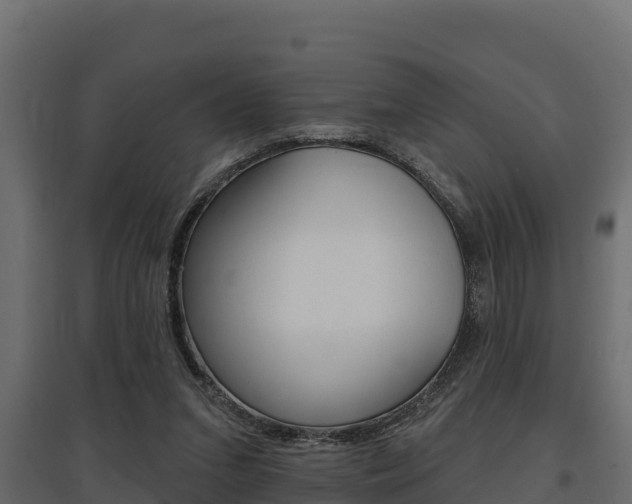 X0000097770207200803070908