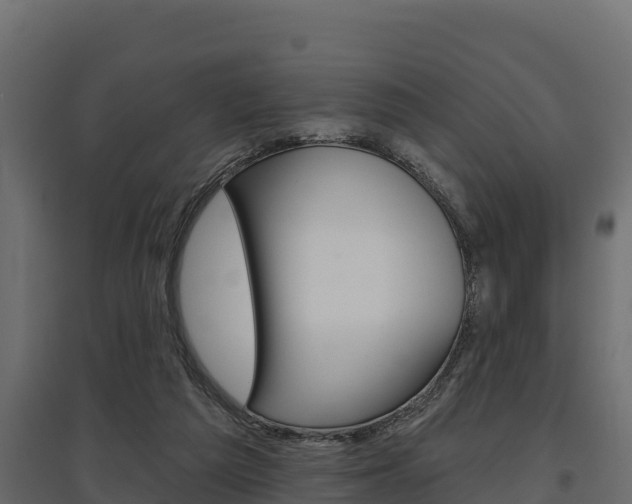 X0000097770209200803070908