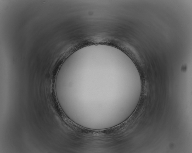 X0000097770210200803070908