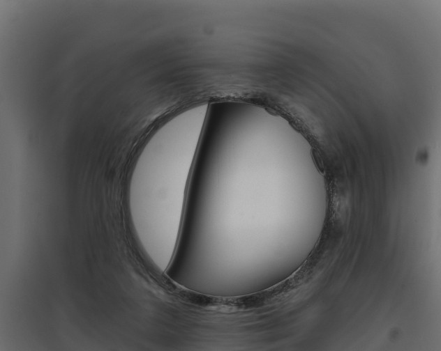 X0000097770211200803070908