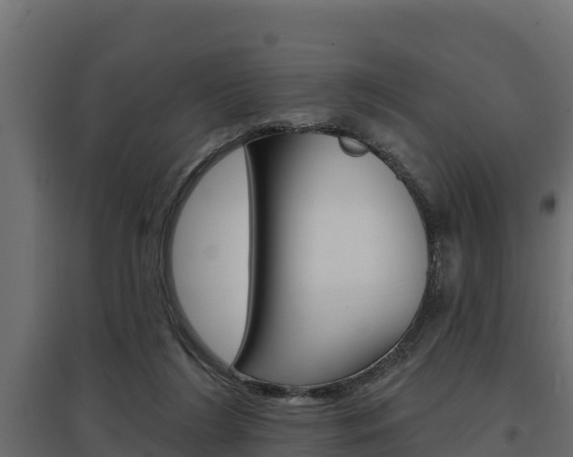 X0000097770212200803070908