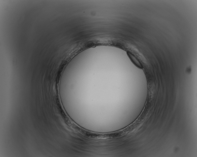 X0000097770213200803070908