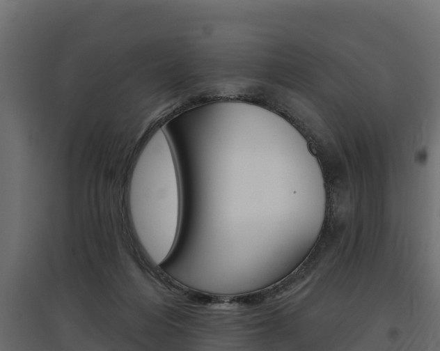 X0000097770216200803070908