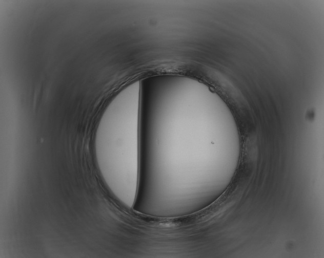 X0000097770217200803070908