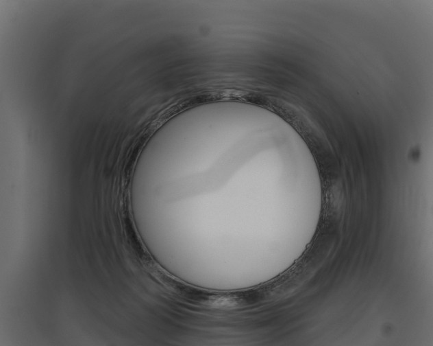 X0000097770218200803070908