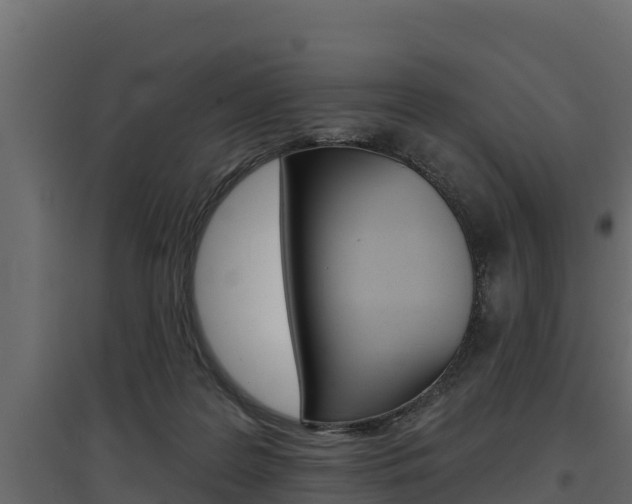 X0000097770219200803070908