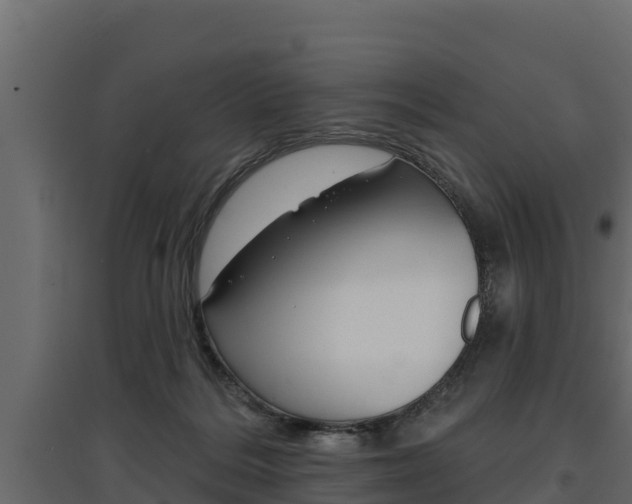 X0000097770220200803070908