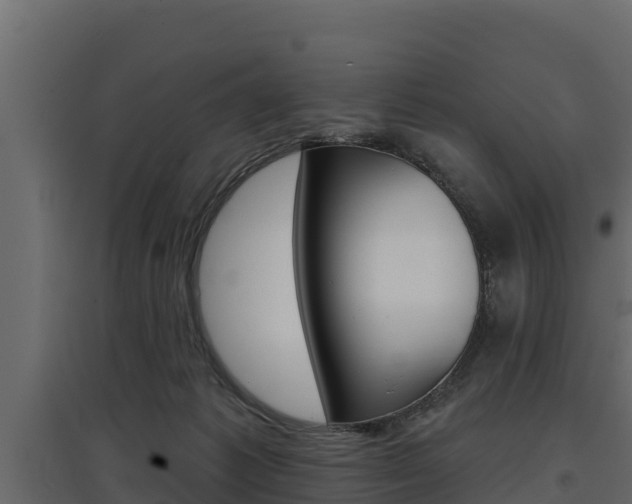 X0000097770221200803070908