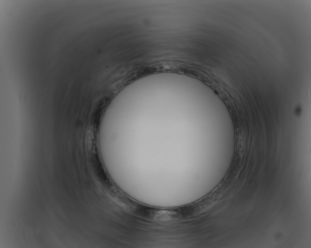 X0000097770222200803070908