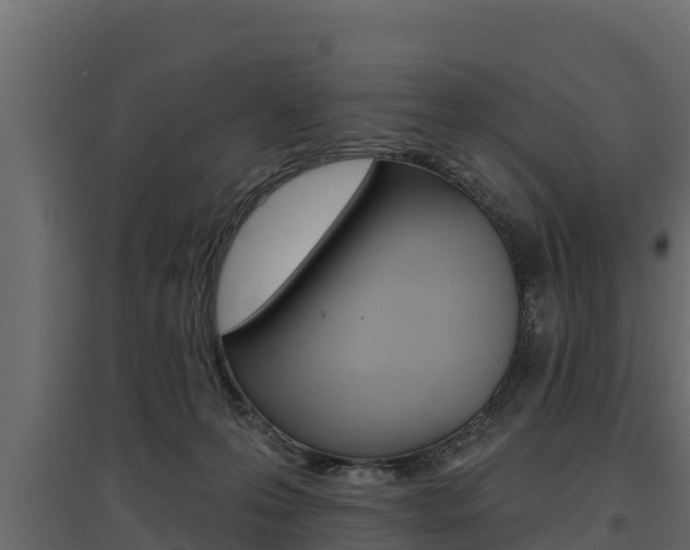 X0000097770223200803070908